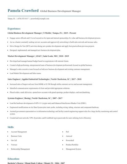 Global Business Development Manager Resume