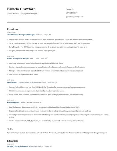 Global Business Development Manager Resume