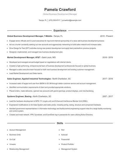 Global Business Development Manager Resume
