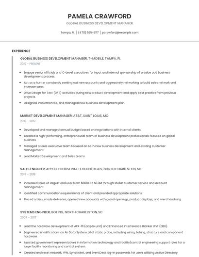 Global Business Development Manager Resume
