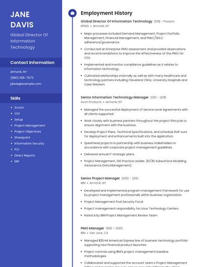 Global Director Of Information Technology Resume