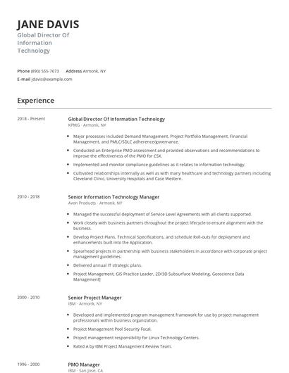 Global Director Of Information Technology Resume