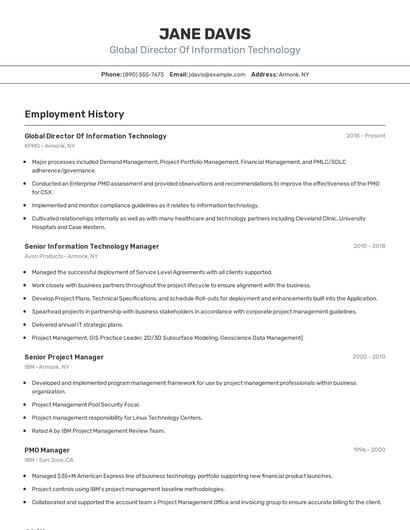 Global Director Of Information Technology Resume
