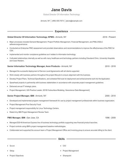 Global Director Of Information Technology Resume