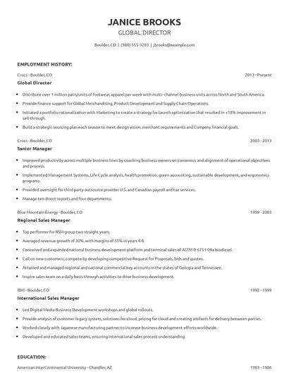 Global Director Resume