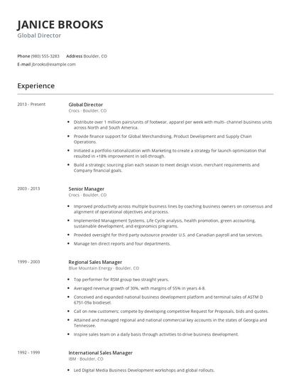 Global Director Resume