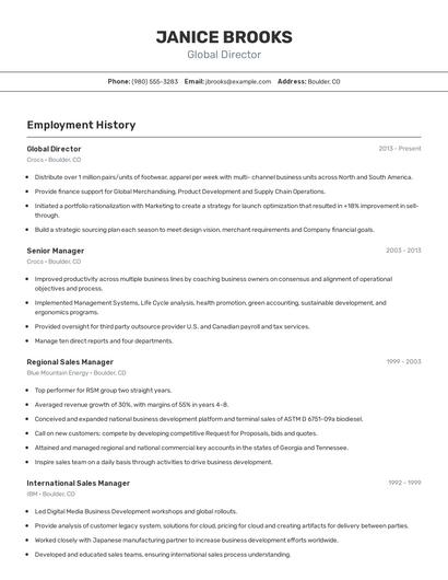 Global Director Resume