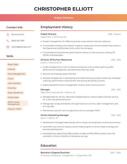 Global Director Resume