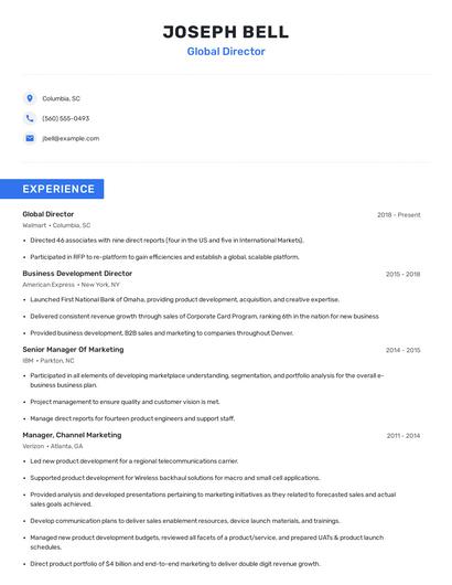 Global Director Resume