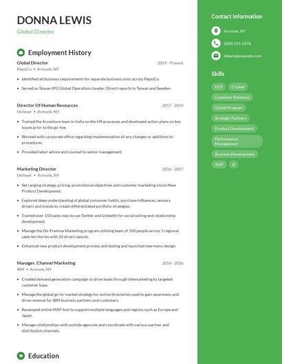 Global Director Resume