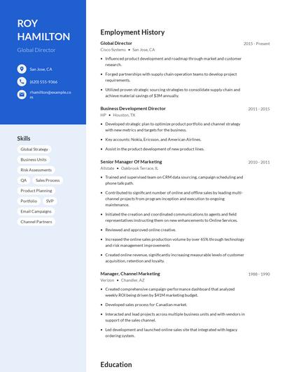 Global Director Resume