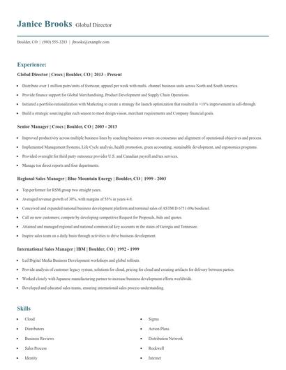 Global Director Resume