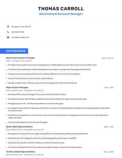 Government Account Manager Resume