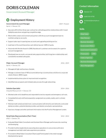 Government Account Manager Resume