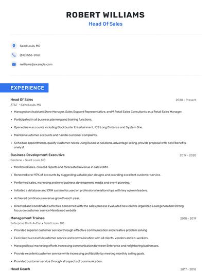 Head Of Sales Resume