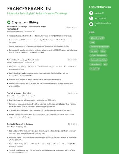 Information Technologist & Senior Information Technologist Resume