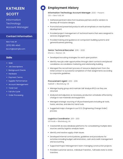 Information Technology Account Manager Resume