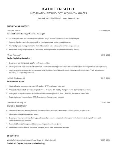 Information Technology Account Manager Resume