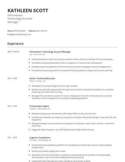 Information Technology Account Manager Resume