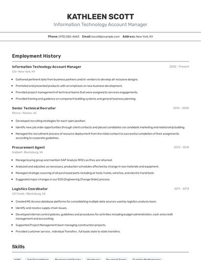 Information Technology Account Manager Resume