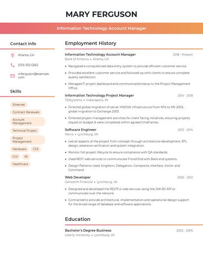 Information Technology Account Manager Resume