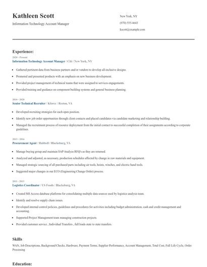 Information Technology Account Manager Resume
