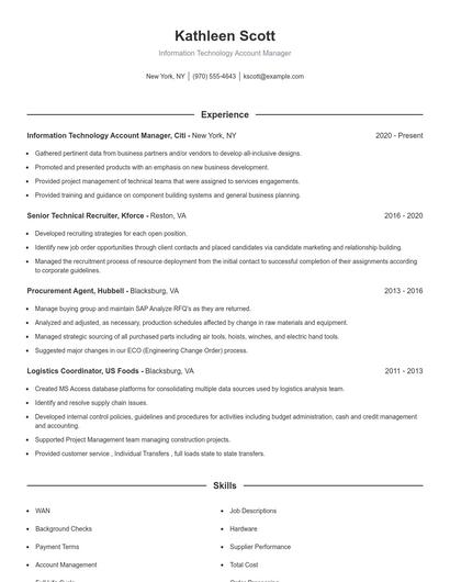 Information Technology Account Manager Resume