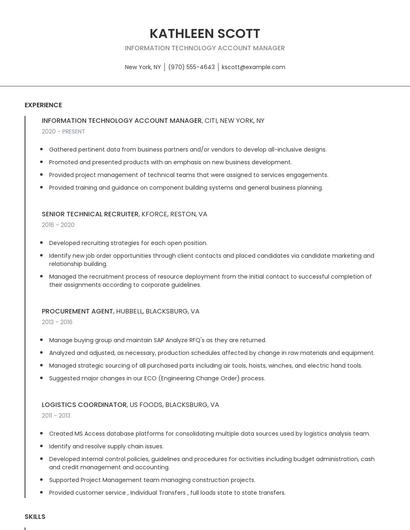 Information Technology Account Manager Resume