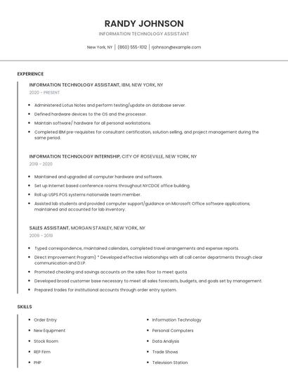 Information Technology Assistant Resume