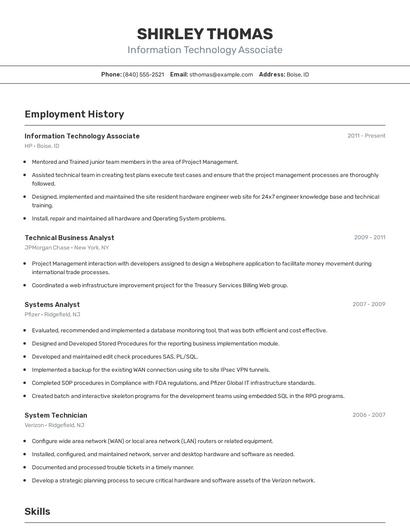 Information Technology Associate Resume