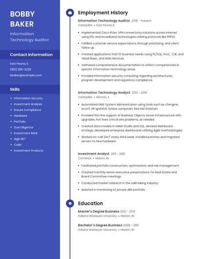Information Technology Auditor Resume