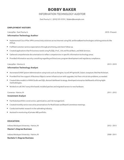 Information Technology Auditor Resume