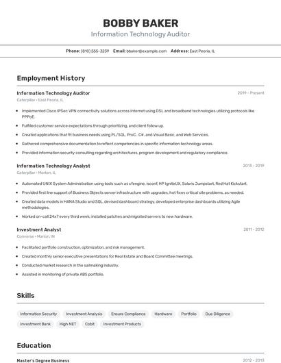 Information Technology Auditor Resume