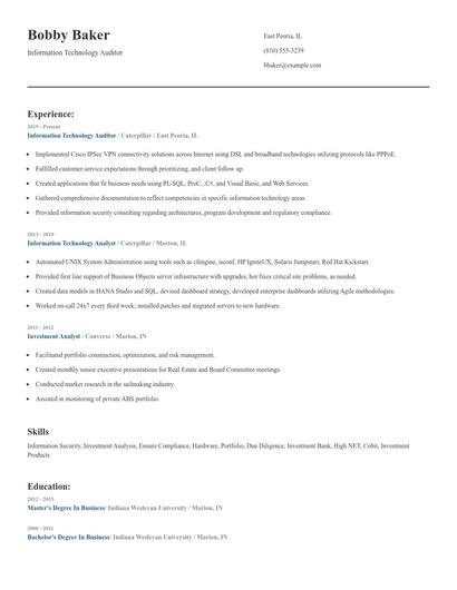 Information Technology Auditor Resume