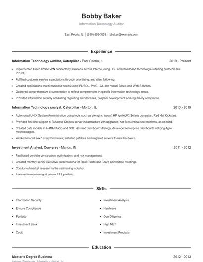 Information Technology Auditor Resume