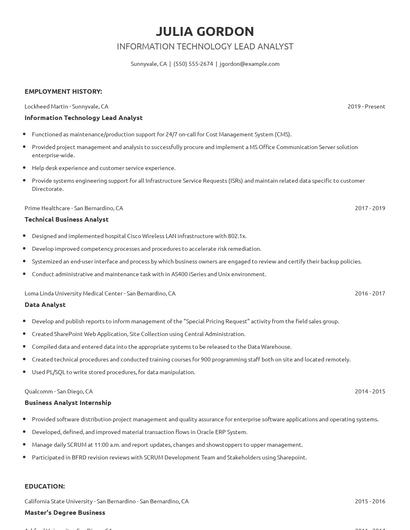 Information Technology Lead Analyst Resume