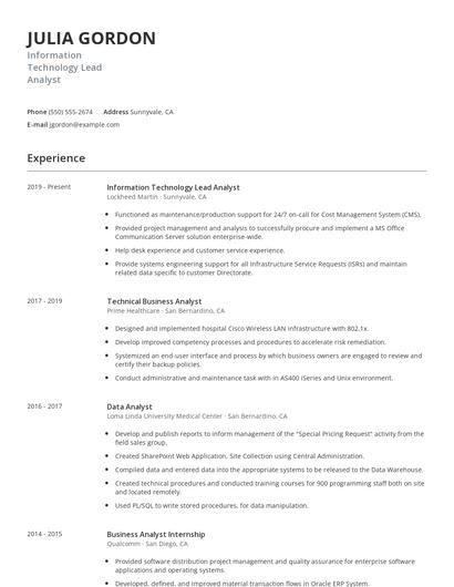 Information Technology Lead Analyst Resume