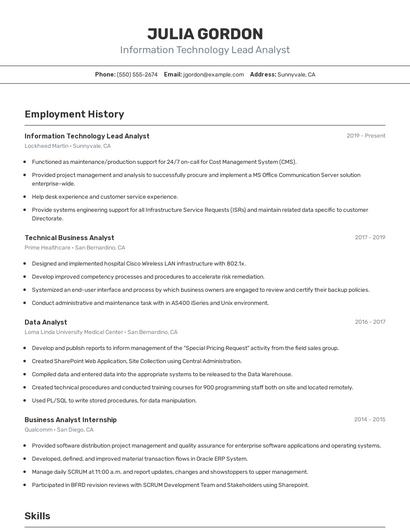Information Technology Lead Analyst Resume