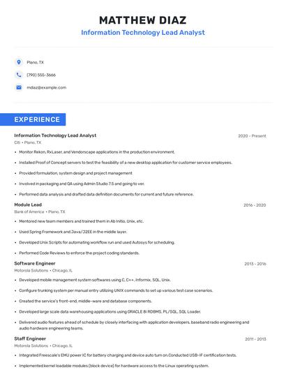 Information Technology Lead Analyst Resume
