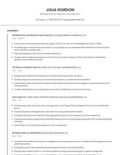 Information Technology Lead Analyst Resume