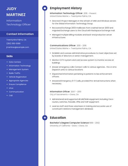 Information Technology Officer Resume
