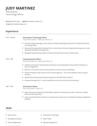 Information Technology Officer Resume