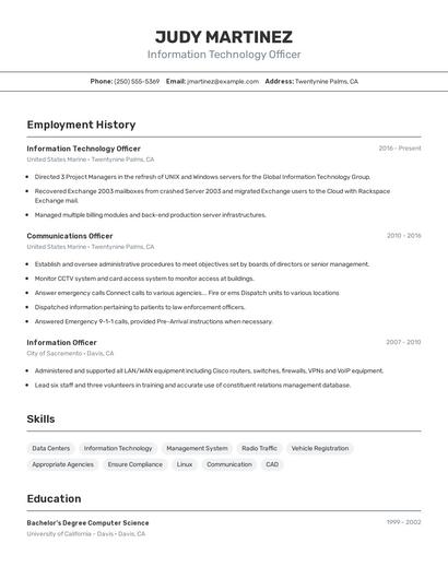 Information Technology Officer Resume