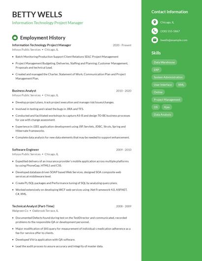 Information Technology Project Manager Resume