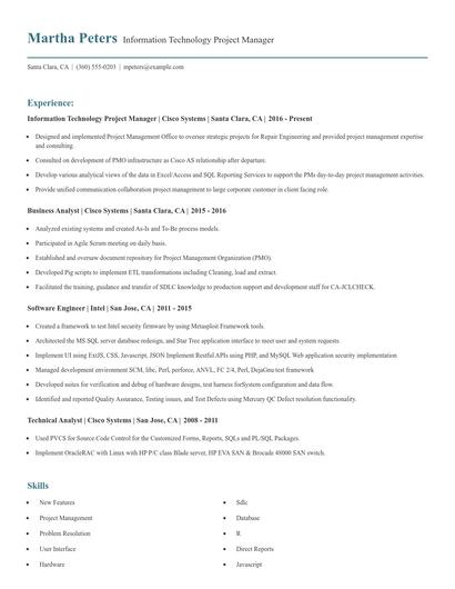 Information Technology Project Manager Resume