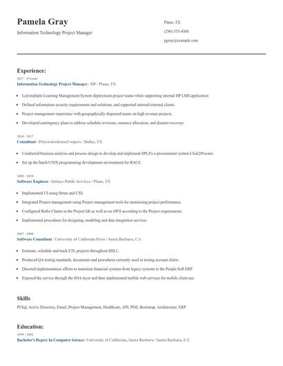 Information Technology Project Manager Resume