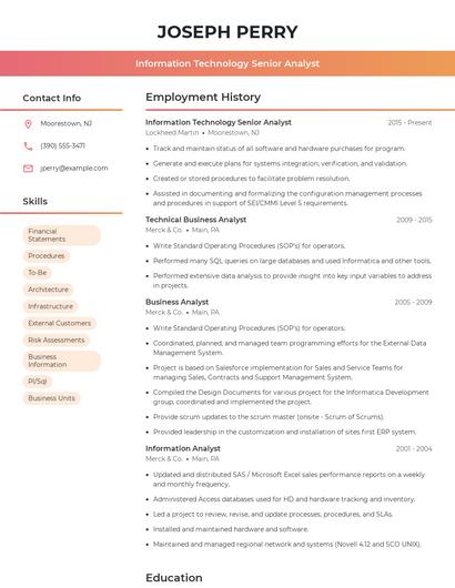 Information Technology Senior Analyst Resume