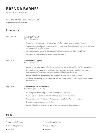 Insurance Counselor Resume