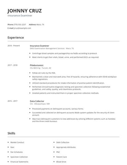 Insurance Examiner Resume
