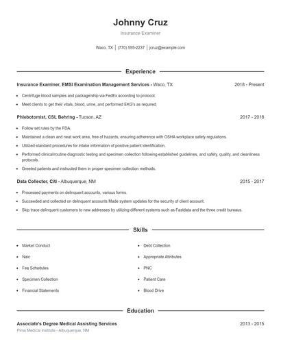 Insurance Examiner Resume